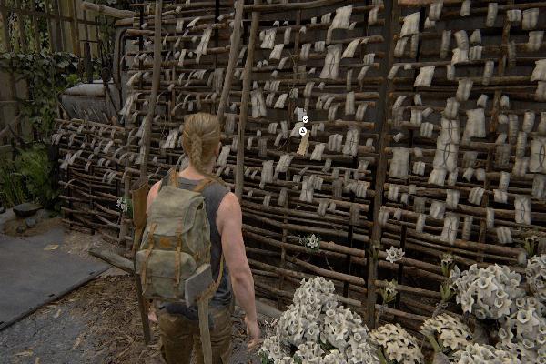 遺物　預言者にあてたセラファイトの祈り - 馬