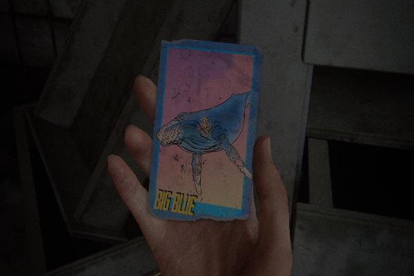 カード ビッグブルー