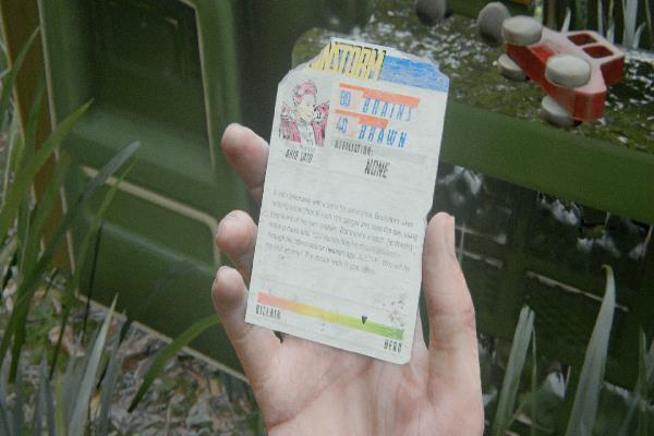 ブレインストーム