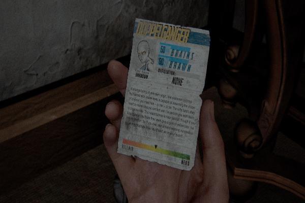 ドッペルゲンガー