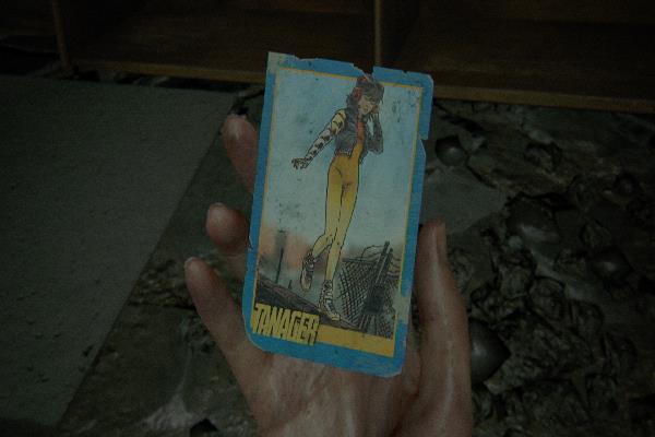 カード タナガー