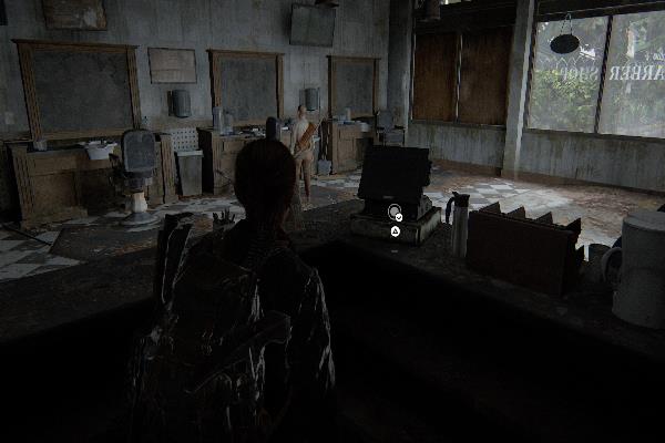 コイン　ネバダ州