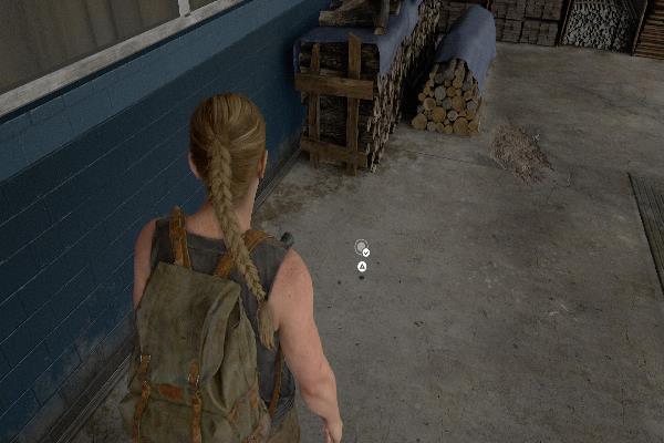 コイン　アラスカ州