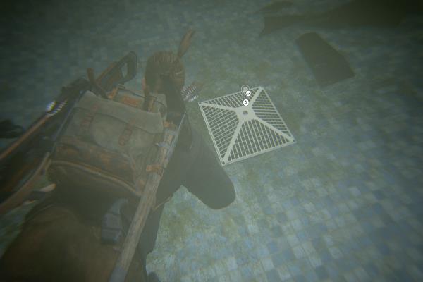 コイン　イリノイ州