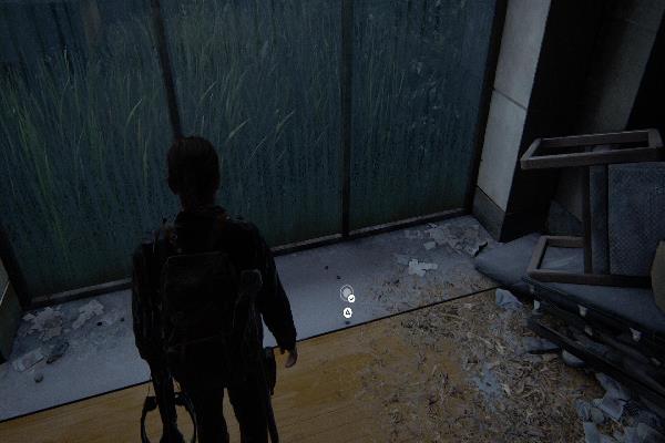 コイン　ミズーリ州