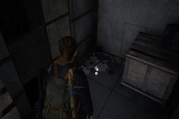 コイン　アイダホ州