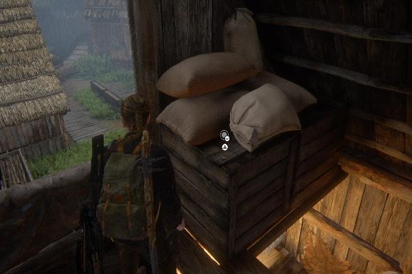 コイン　モンタナ州