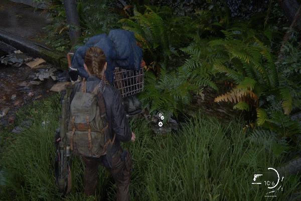 コイン　アーカンソー州